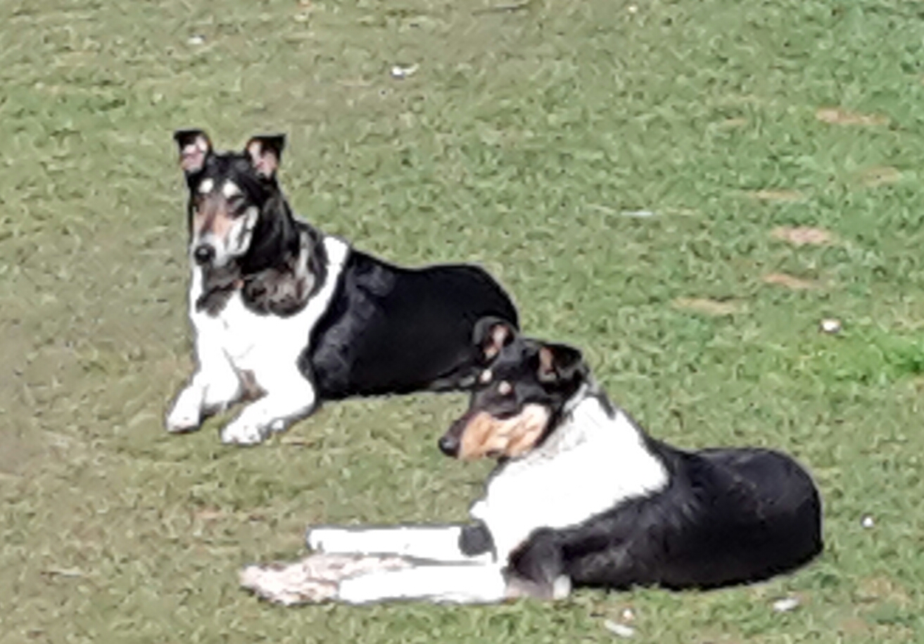 Engelchen Elly und Queen Quidina