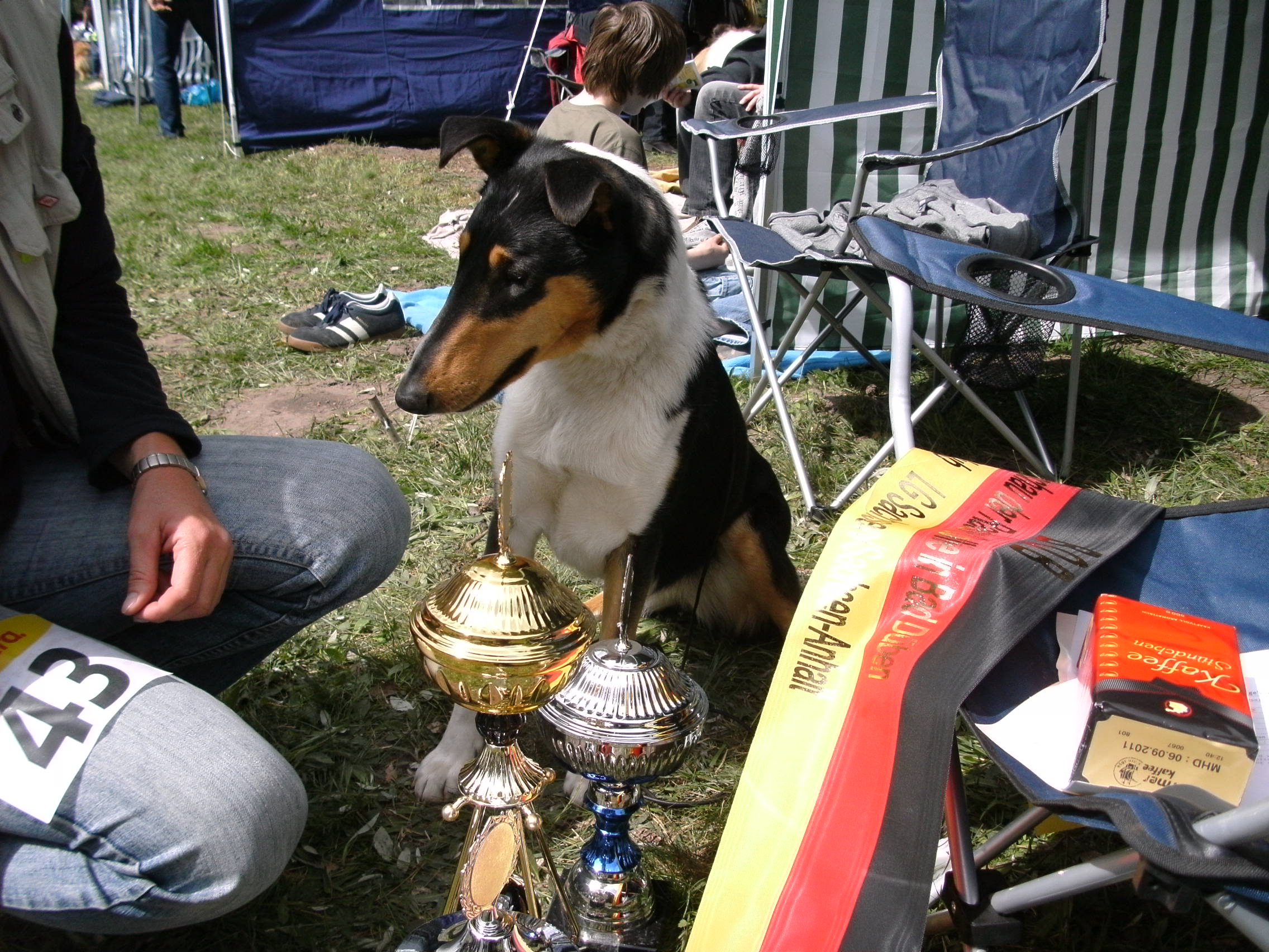 Collie Kurzhaar Ausstellung Bad Dben 2010 039