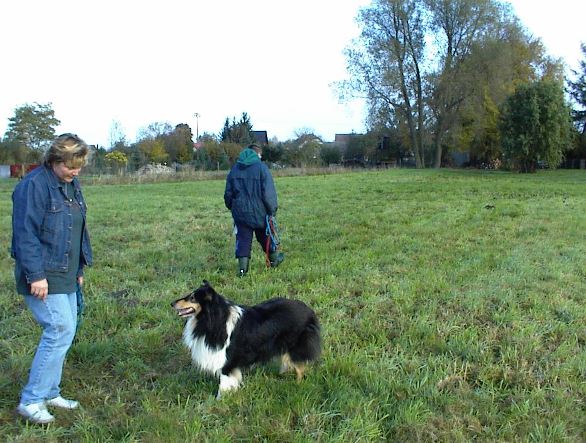 Gehorsamkeitstraining, Colliezchter