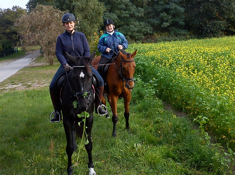Reiten fr erwachsene