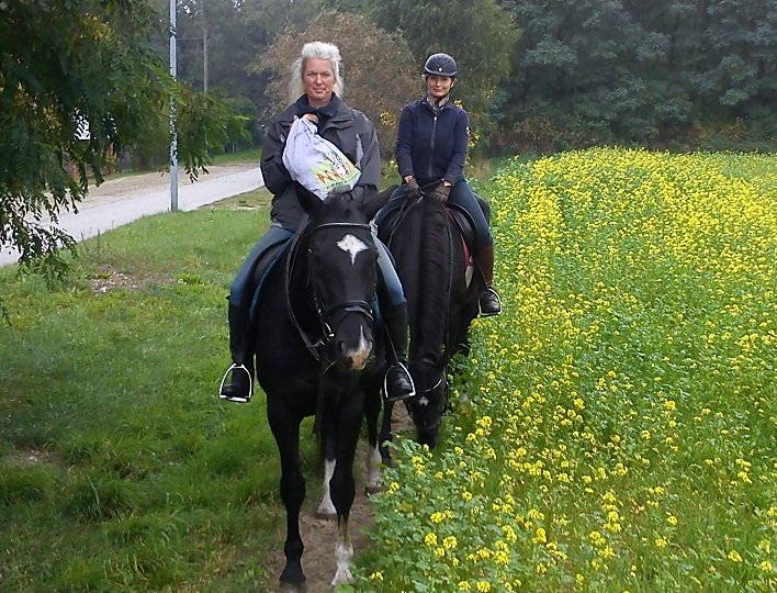 Gelndereiten fr Erwachsene
