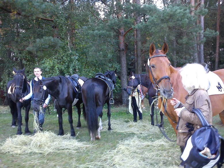 Erntefest Friedersdorf Reiten fr erwachsene
