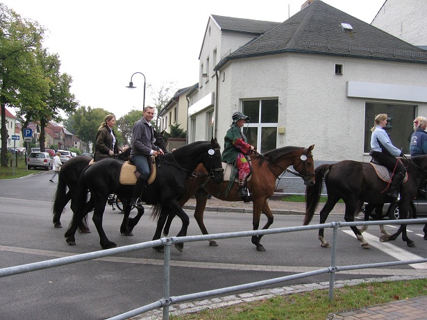 Erntefest Friedersdorf , reiter vom Tierparadies Kummersdorf
