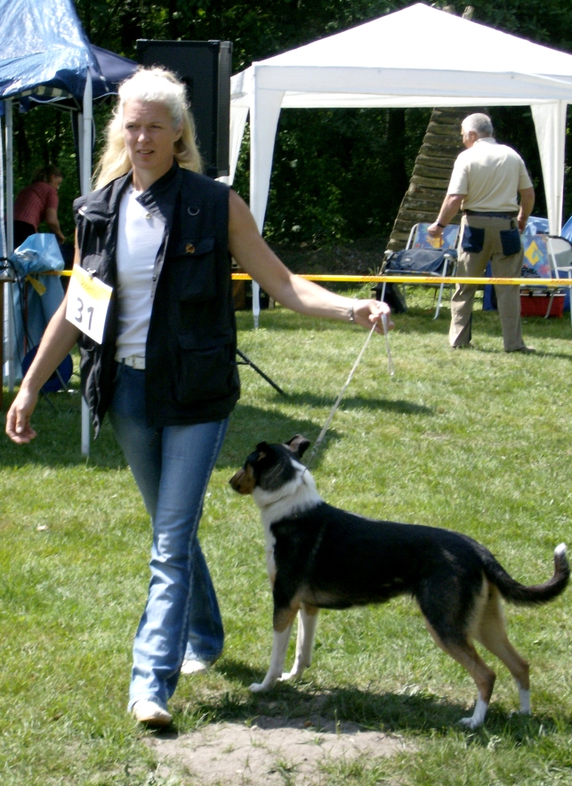 Collie Freilandausstellung , CAC