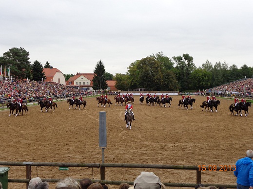 Hengstparade Moritz