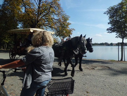 Hengstparade Moritzbur