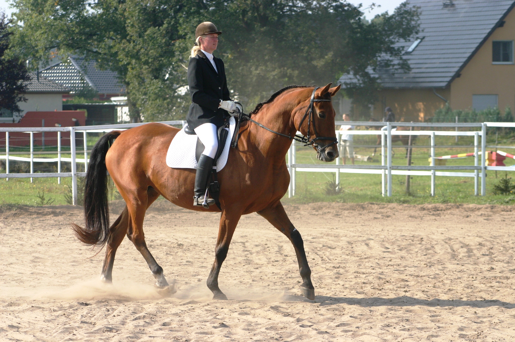 Reitunterricht, Ausreiten in die Natur, 