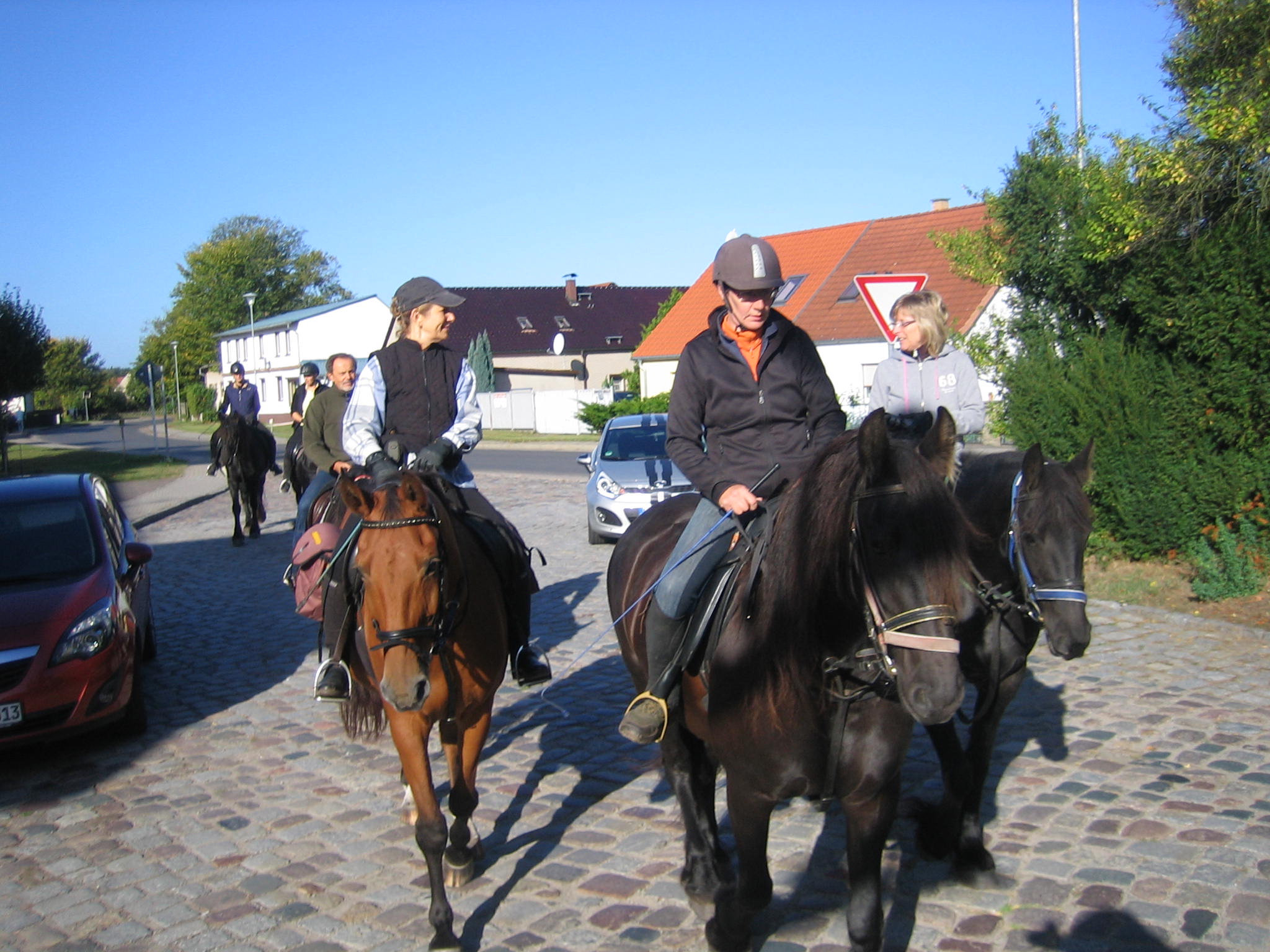 Reitstunden , Ausritte , reitunterricht