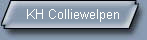 KH Colliewelpen