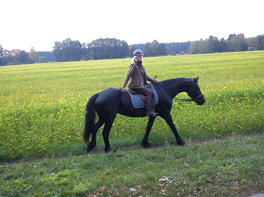 freizeitreiter ,Jette Herbst 2013
