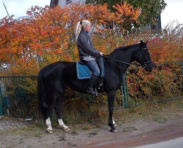 Ausritt ins Gelnde ,Kenoa Okt.13