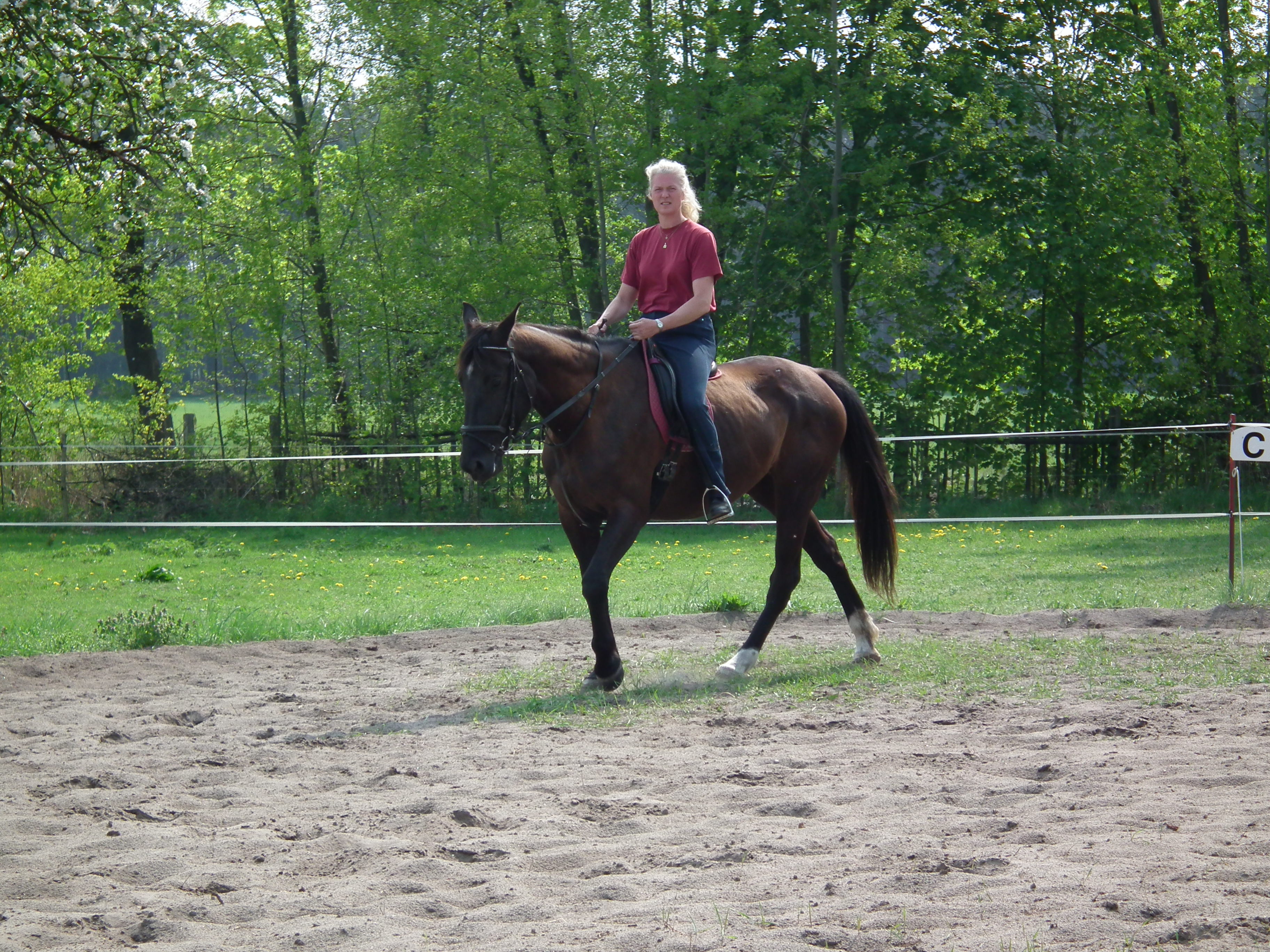 Reiten fr Erwachsene  Reiterhof Spreeidyll  Pferd & Hund Tierparadies Kummersdorf  , 2011