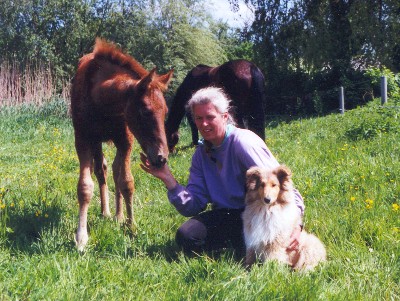 Tierparadies Kummersdorf , Spreeidyll PferdundHund