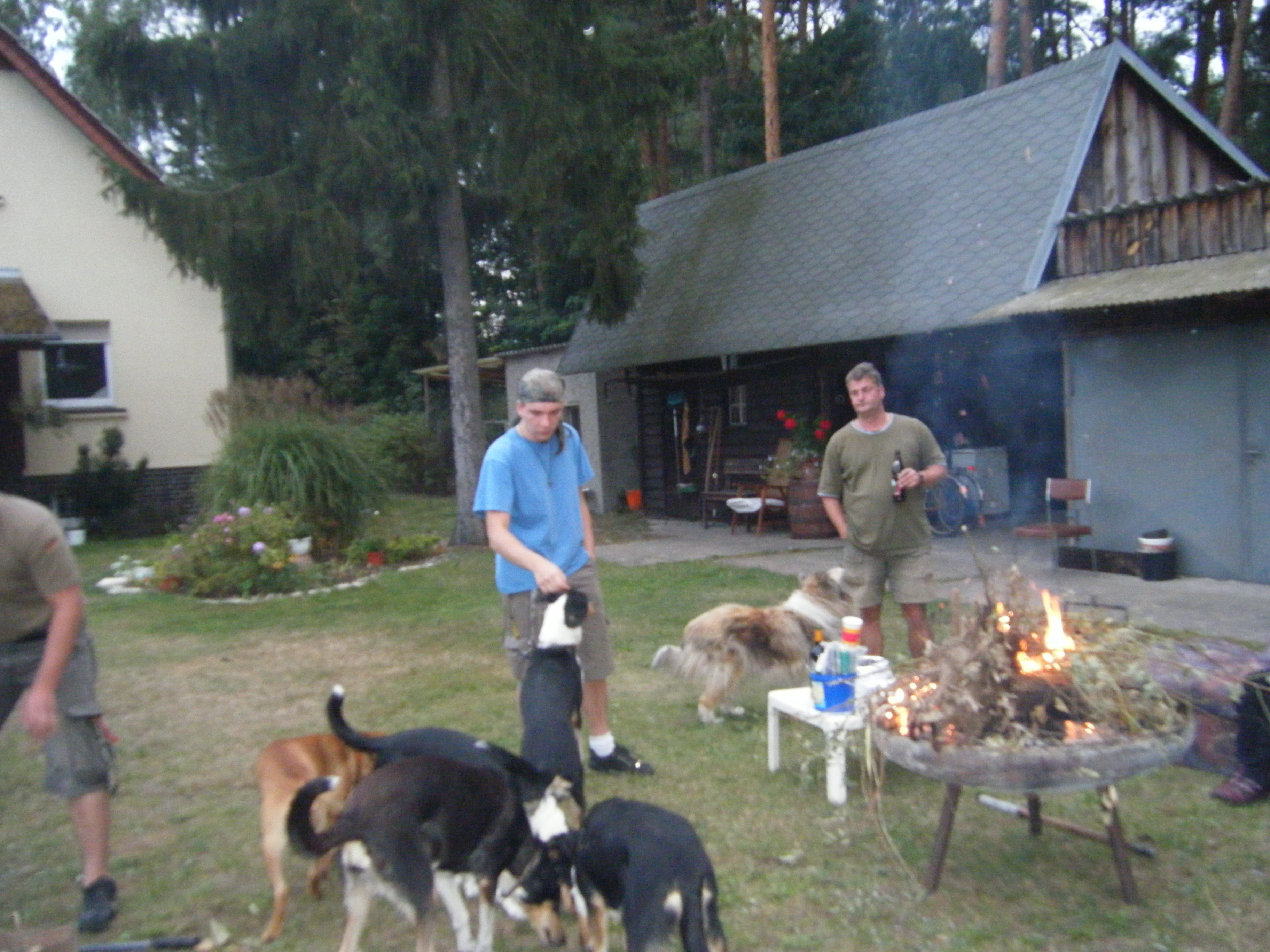 Ausritte fr Erwachsene und Colliezucht