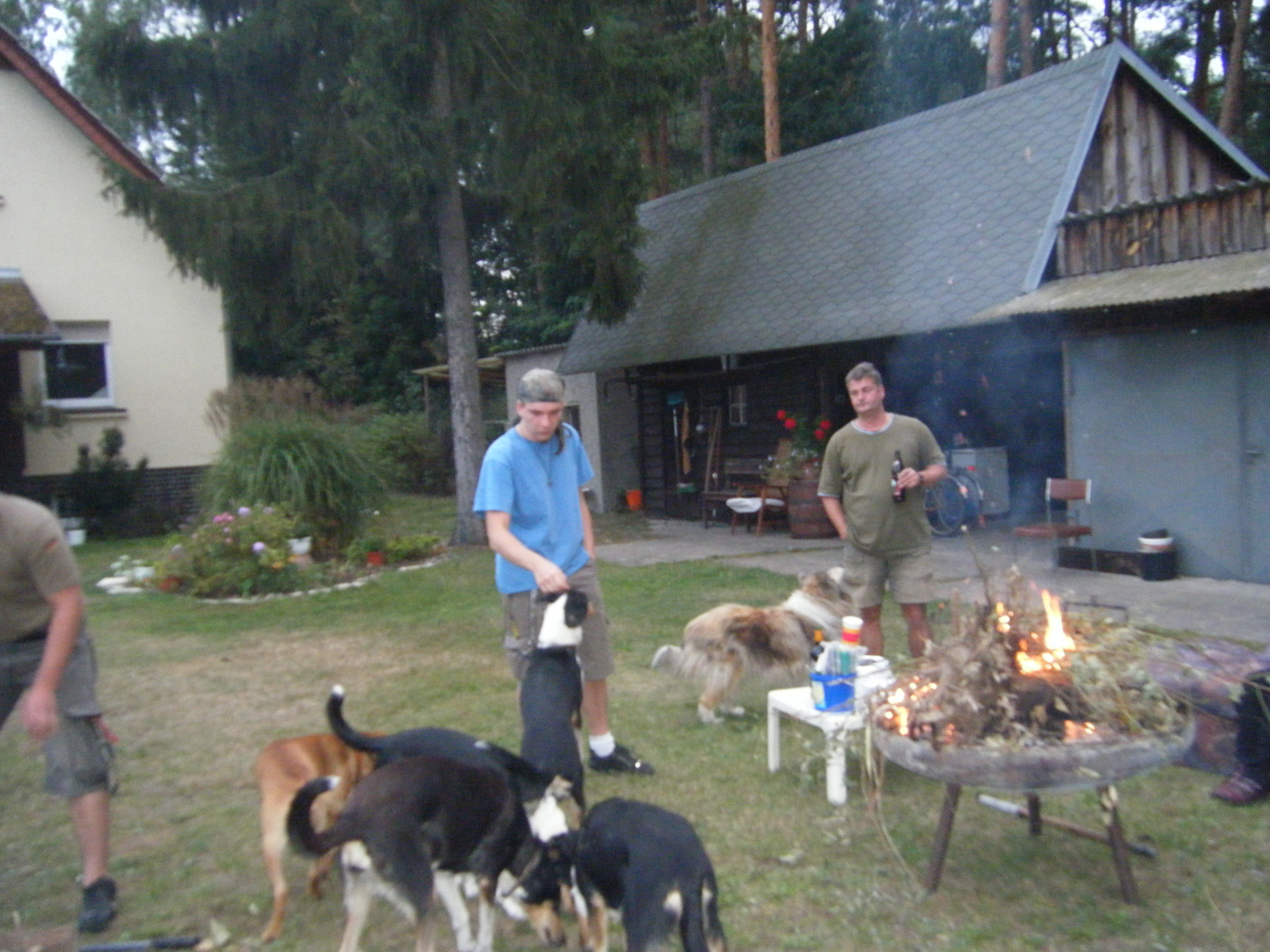 Ausritte fr Erwachsene und Colliezucht