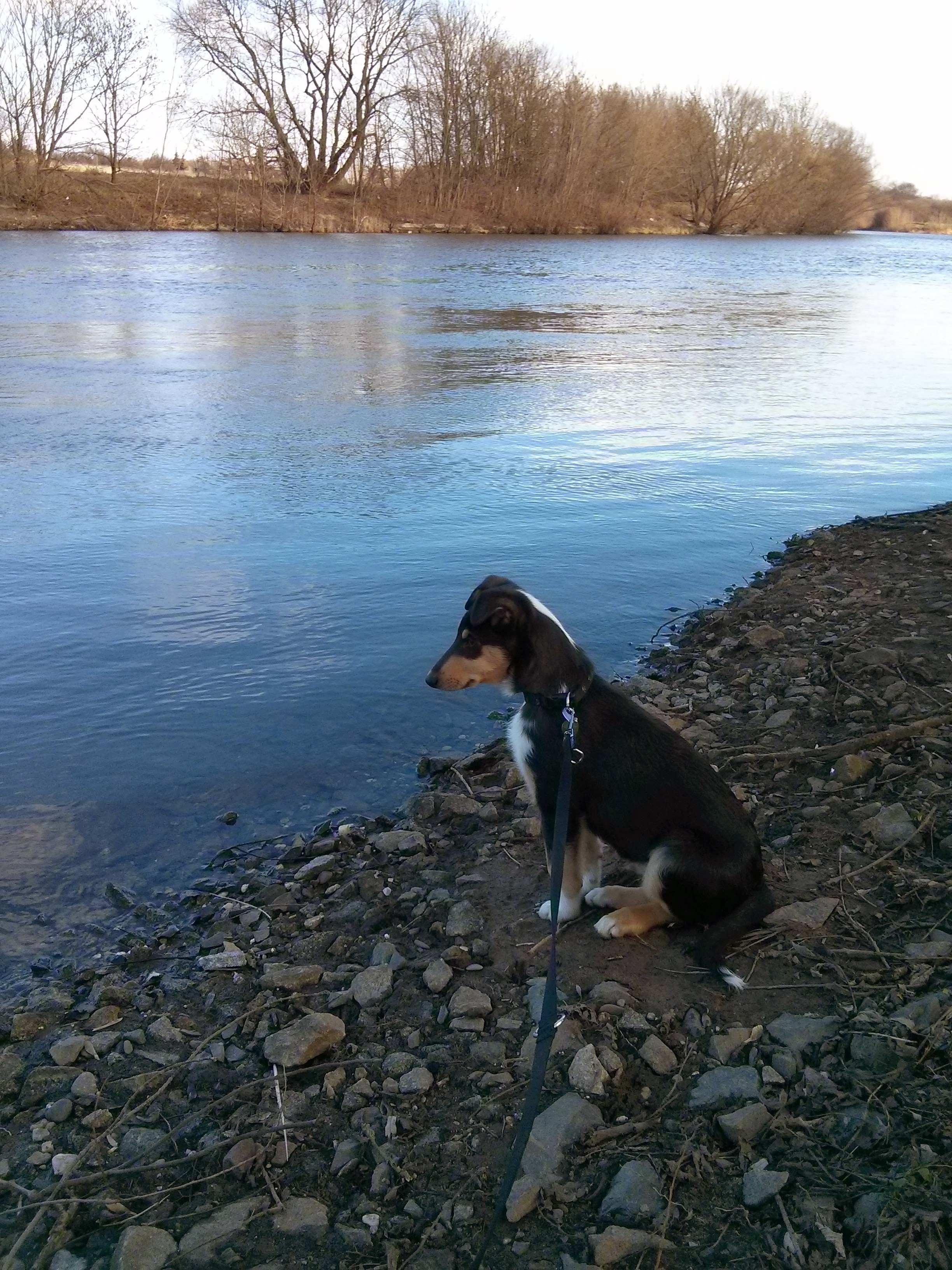 Odin 10 Wo.