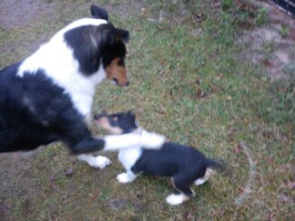 Jette und Kind  vom Spreeidyll