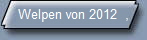 Welpen von 2012  ,